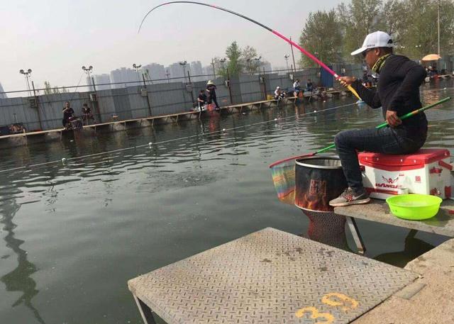 海钓|经常断竿稍?三个方面留意即可,极少再断!