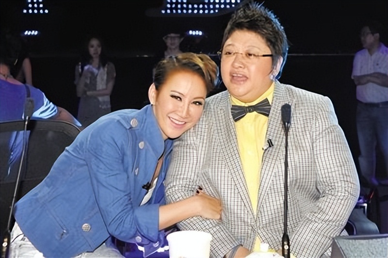 好声音风波不断,那英称病退出音乐节,韩红曾力挺刀郎质疑好声音