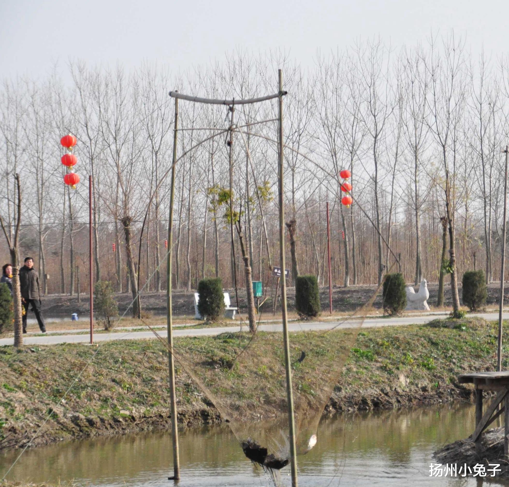 遥记当年扳罾的趣事儿