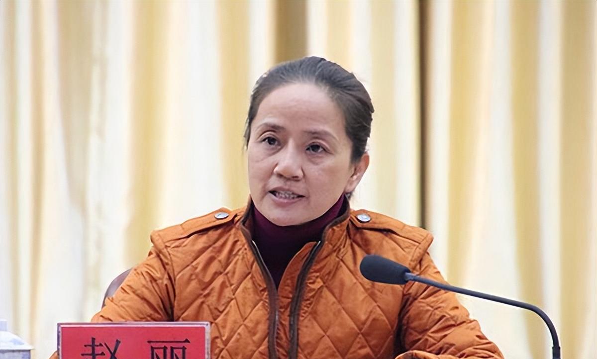 案例:广西女书记赵丽,强迫司机6年,网友:这司机咋下的去嘴?