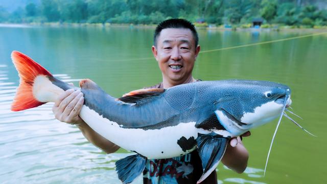 饵料|领先同行几个版本，邓刚带团队去泰国游钓，三大巨物已加入菜单