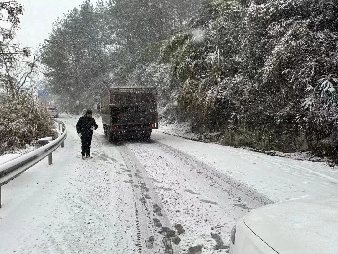 |2024年第一场雪，来了！