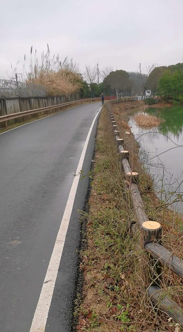 鲫鱼|初春传统钓，思路需得当，不走空军路