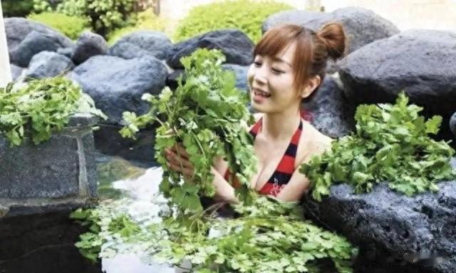 海带|我国瞧不上的“野菜”，却被日本大量进口，还称其为“长寿菜”？