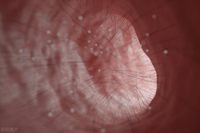 |鼻毛“窜”出来的男人,有什么不同?鼻毛旺盛,究竟意味着什么?