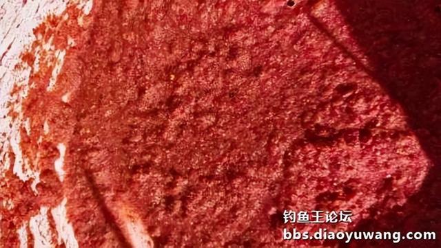 鲫鱼|春钓鲫鱼,超额完成任务,今晚吃鱼