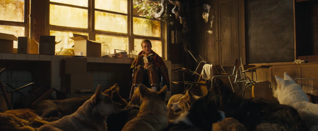 能在内地院线上映,这部年度最佳太猛了