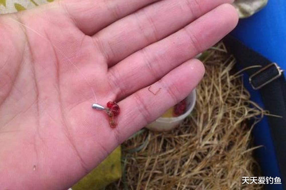 荤饵活,鱼不舍!野钓4大活饵,最后这种才是王者