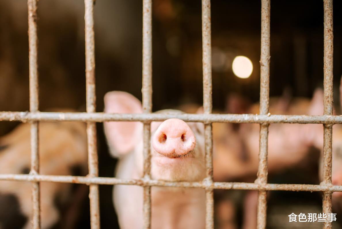 食材|世界上吃得最多的16种美食,你吃过几种了?