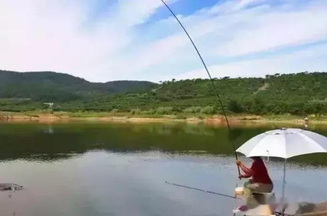 |钓鱼技巧:用这种方法钓草鱼,可能让你断竿断线