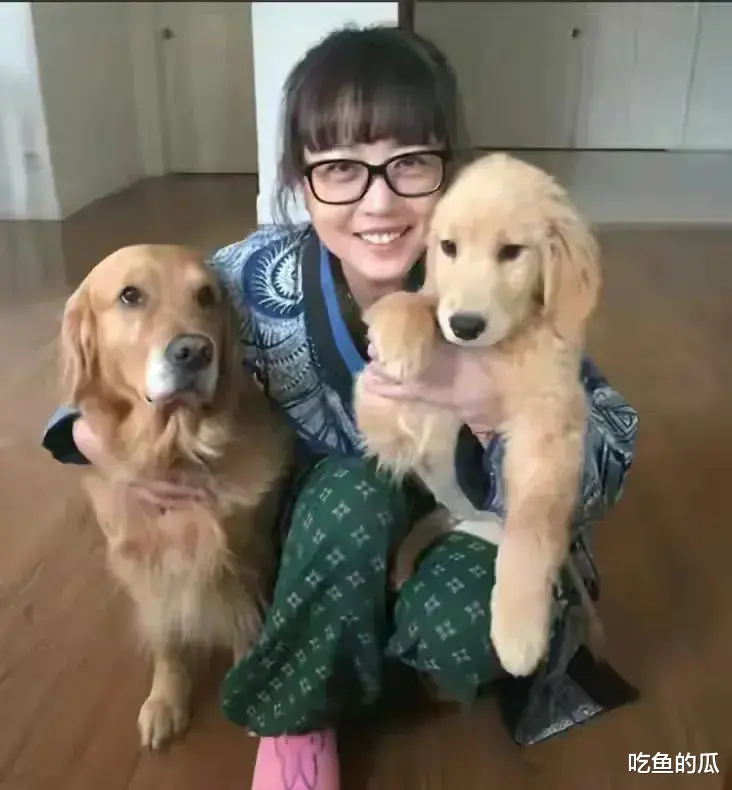 周海媚让人同情的原因:丁克没人养老,老年没伴,房子大没人气