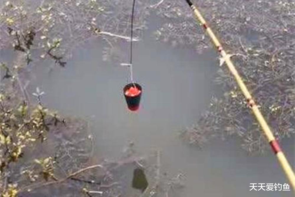 冬季野钓，用好4个秘密招数，让咬钩量提升10倍