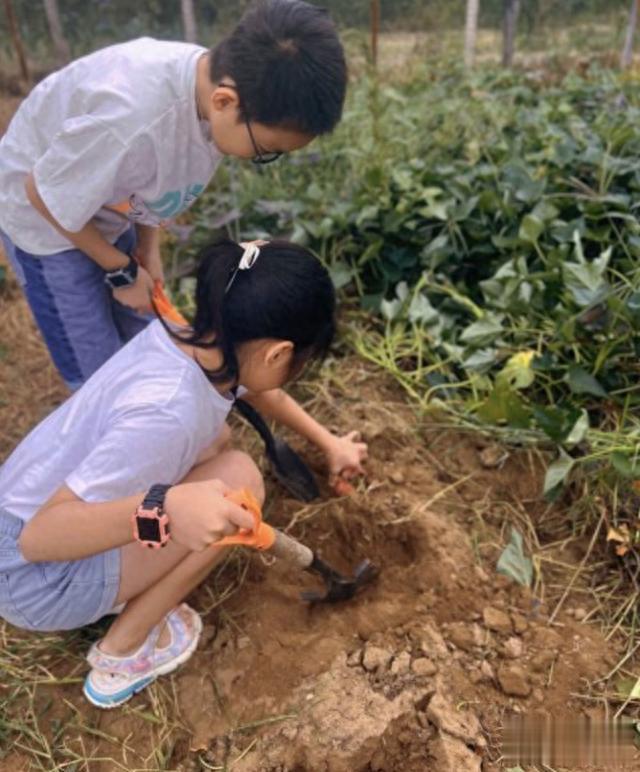 |一边采摘，一边烧烤的神仙遛娃地！摘葡萄，刨花生，拔白薯…