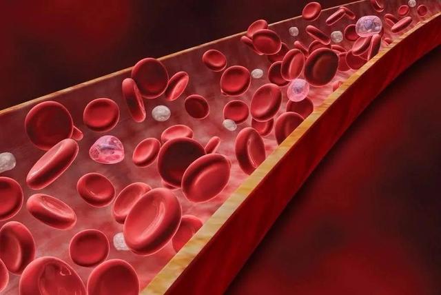 长寿|“人老两个坎,迈过就长寿”?主要指哪“两坎”?老年人该上心了