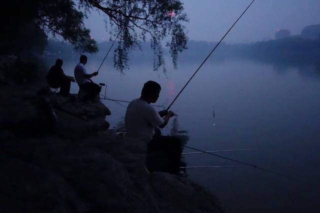 夏季夜钓，最好别去肥水塘野塘类的小水面，原因何在？