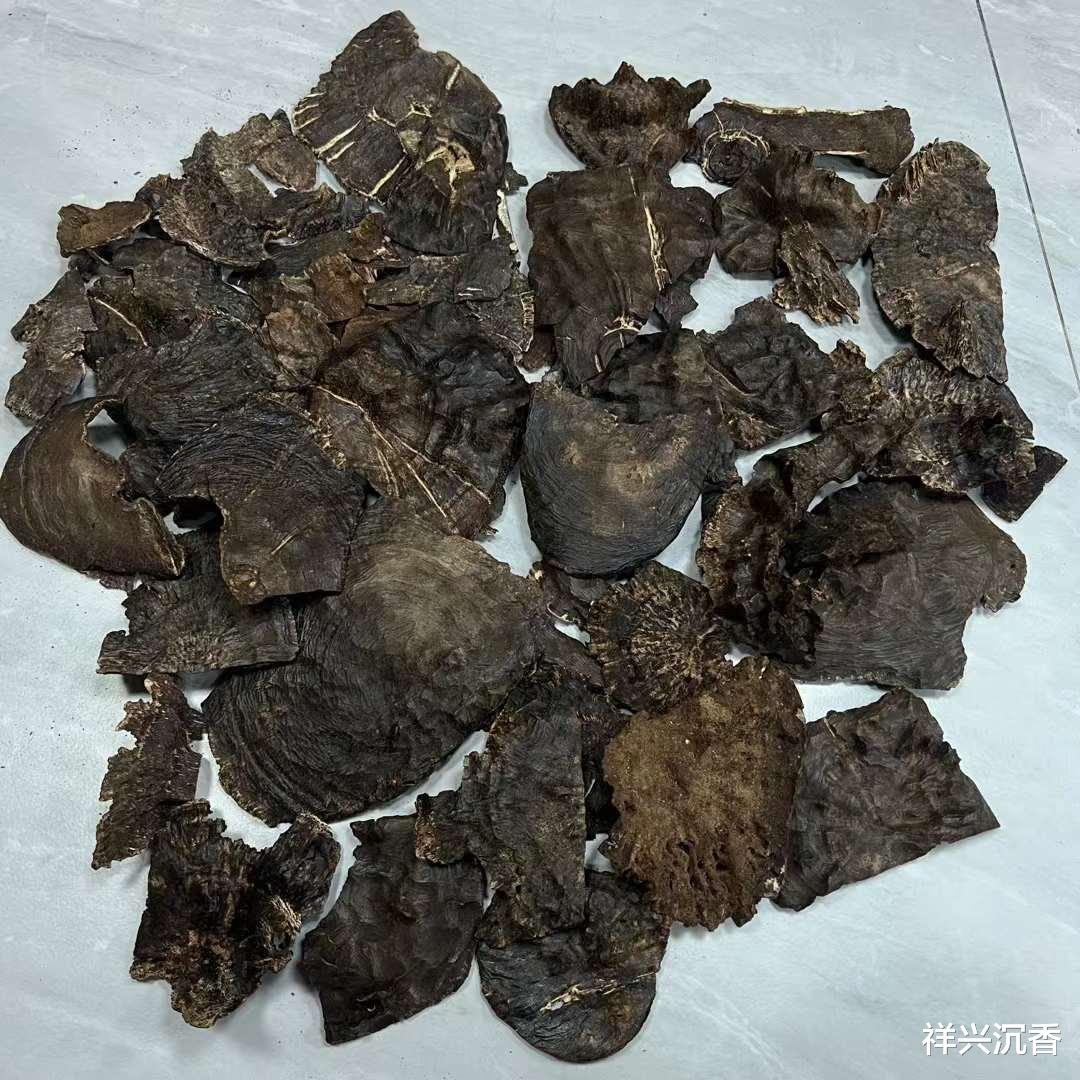 沉香|为什么沉香可以“永垂不朽”