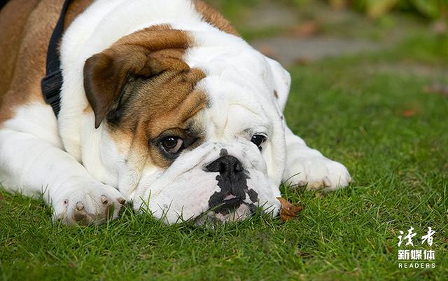 39岁李宇春身患重病，27岁抗癌主播去世：醒醒吧！对自己放纵，真的会死