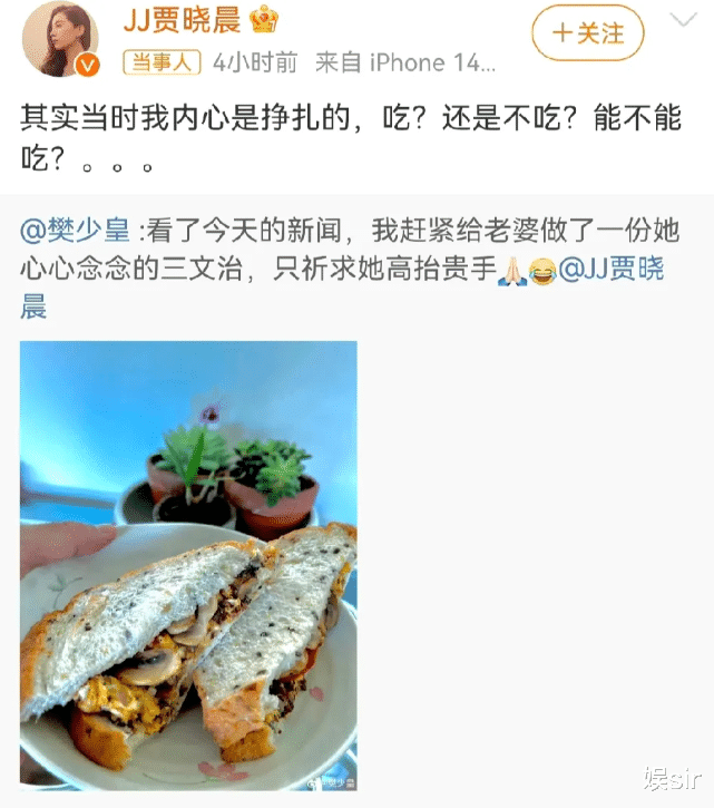 樊少皇妻子回应离婚传闻,称每天想离50次婚,想“杀”对方100次