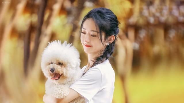 2023.10.31娱乐爆料:赵丽颖、肖战、杨紫、朱一龙、杨幂、于适