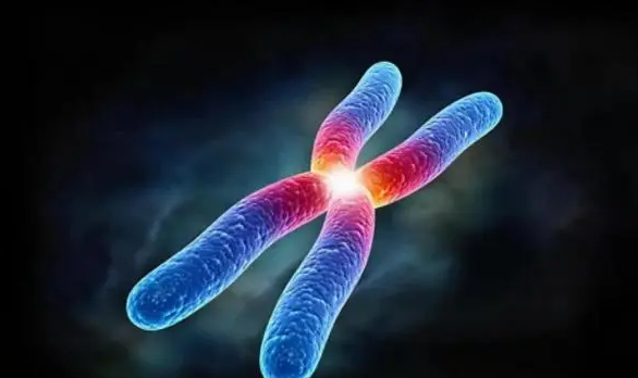 中药草|退休医生坦言:寿命长不是靠多走路和多睡觉,而是坚持这2件小事