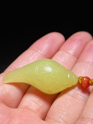 和田玉籽料|清乾隆 和田玉籽料 黄玉 海螺 佛像法螺 挂件