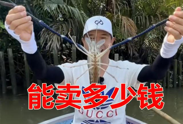 |邓刚泰国野钓河虾，一只半斤还能连竿，搁国内能卖多少钱？