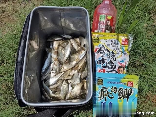 大暑野钓,收获颇丰
