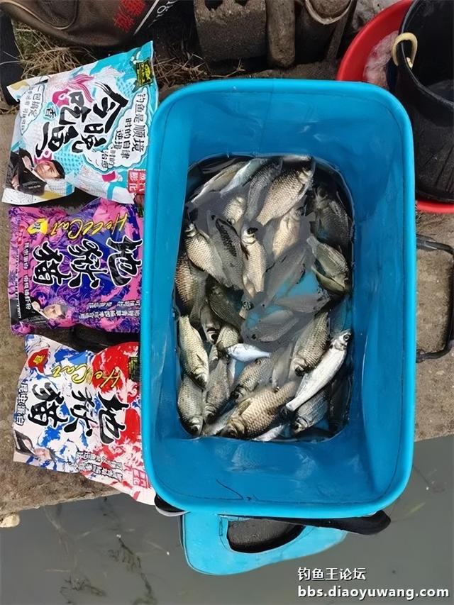 地狱猫搭档不一样，鱼获却极其相似