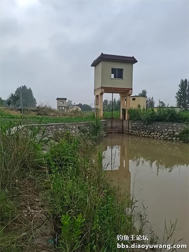 路边沟里钓鳊又飞鲫