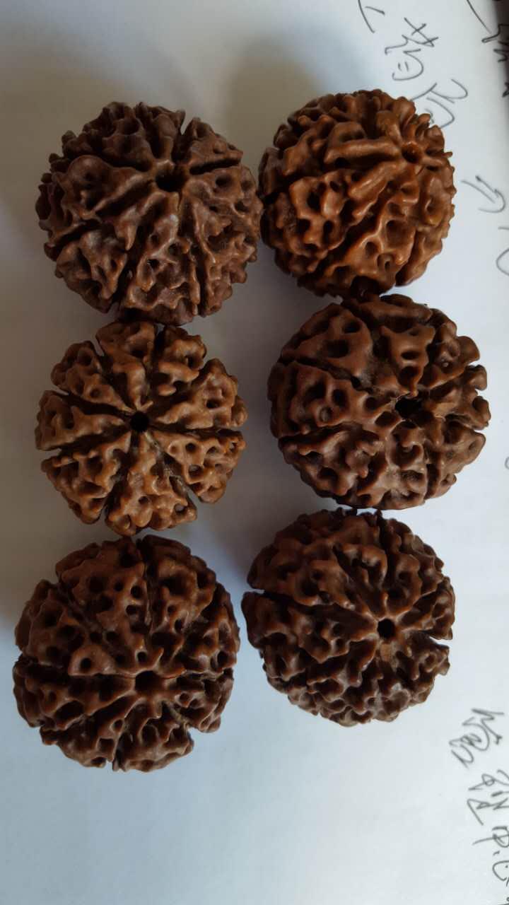 菊花一角|文玩人，这8种“一眼假”别玩了，太尴尬！