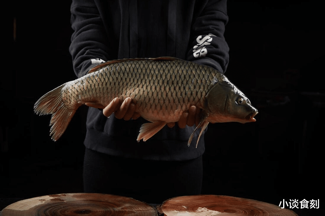 鲤鱼|为啥北方人爱吃鲤鱼,南方却很少端上桌?是吃不惯还是另有隐情?