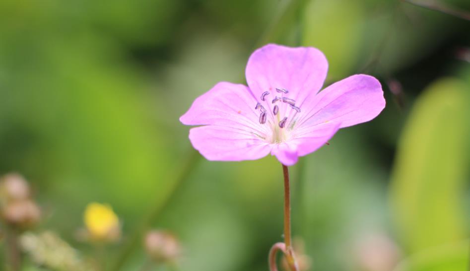 人过六十,要找到人生的归途