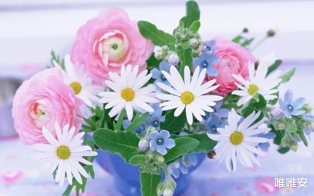 酱牛肉|23片一盘的酱牛肉,你自己吃18片:准婆婆家吃顿饭,变分手宴