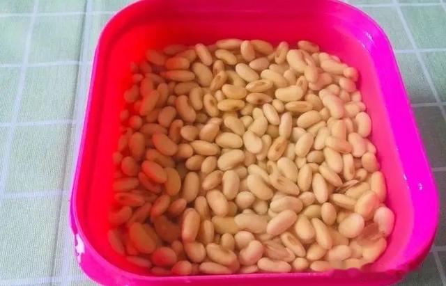 建议中老年人：10种食物换着吃，把亏掉的免疫力补起来~