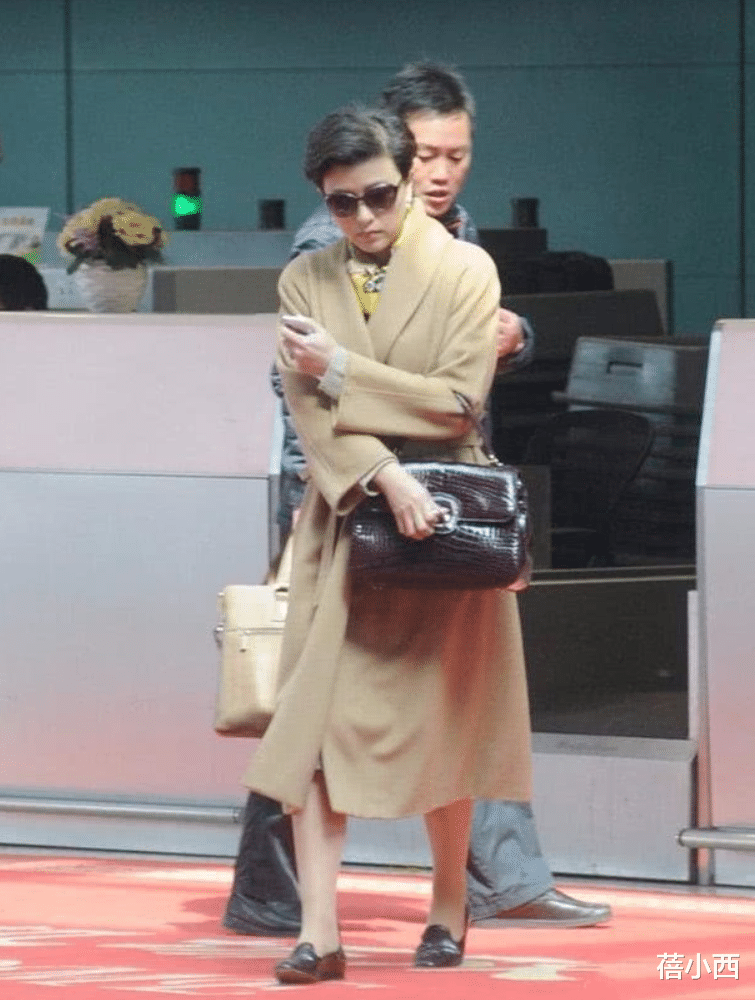 55岁杨澜带火了一种“女高管”穿法:西装+阔腿裤+围巾,高级洋气