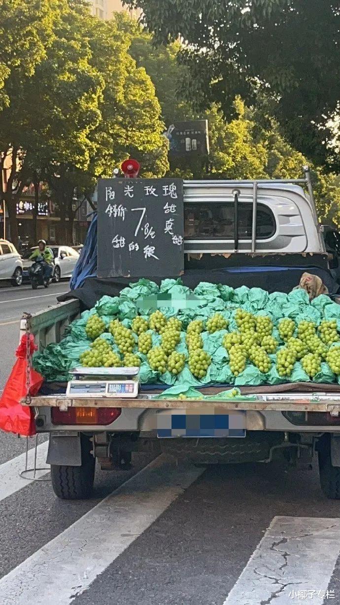 热搜上的“少爷公主别来面试了”，暴露多少985高材生的悲哀困局