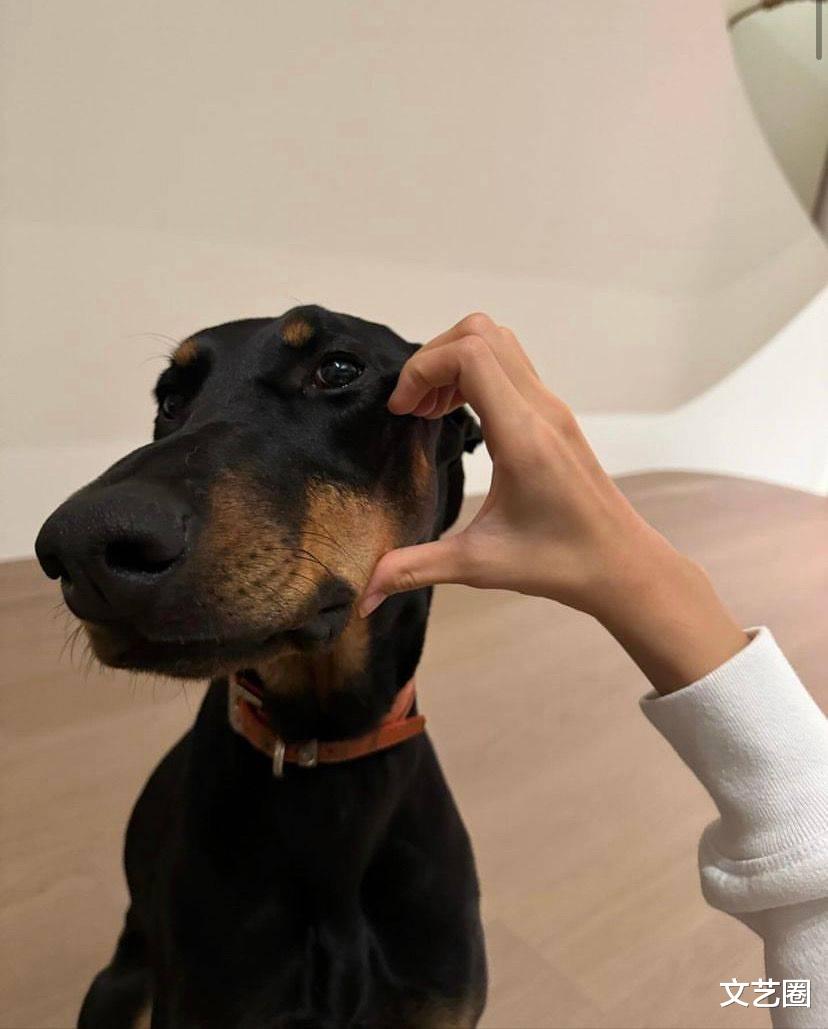 Lisa落魄后疑似遭到朋友排挤,更新动态内容引争议,只能跟狗玩