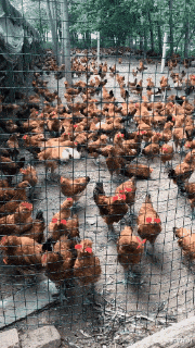 “小伙和41岁漂亮阿姨千里约会，见到本人后，网友：这波不亏！”