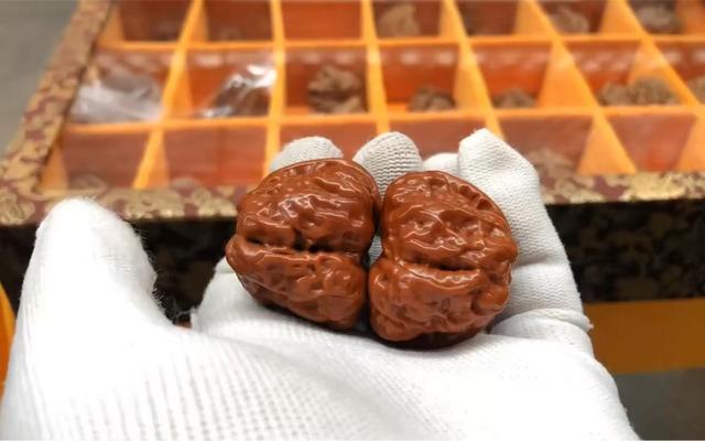 文玩核桃|还在高价买“蛤蟆头”?理性点吧,蛤蟆头价格终将跌回“冰点”!