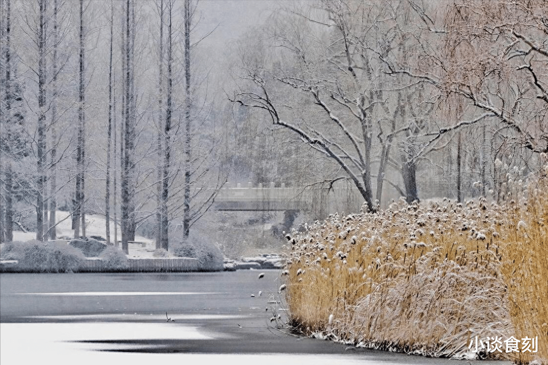 |“冬头雪花飘，老牛不挨刀”，“冬头”是啥时候？下雪有啥说法？