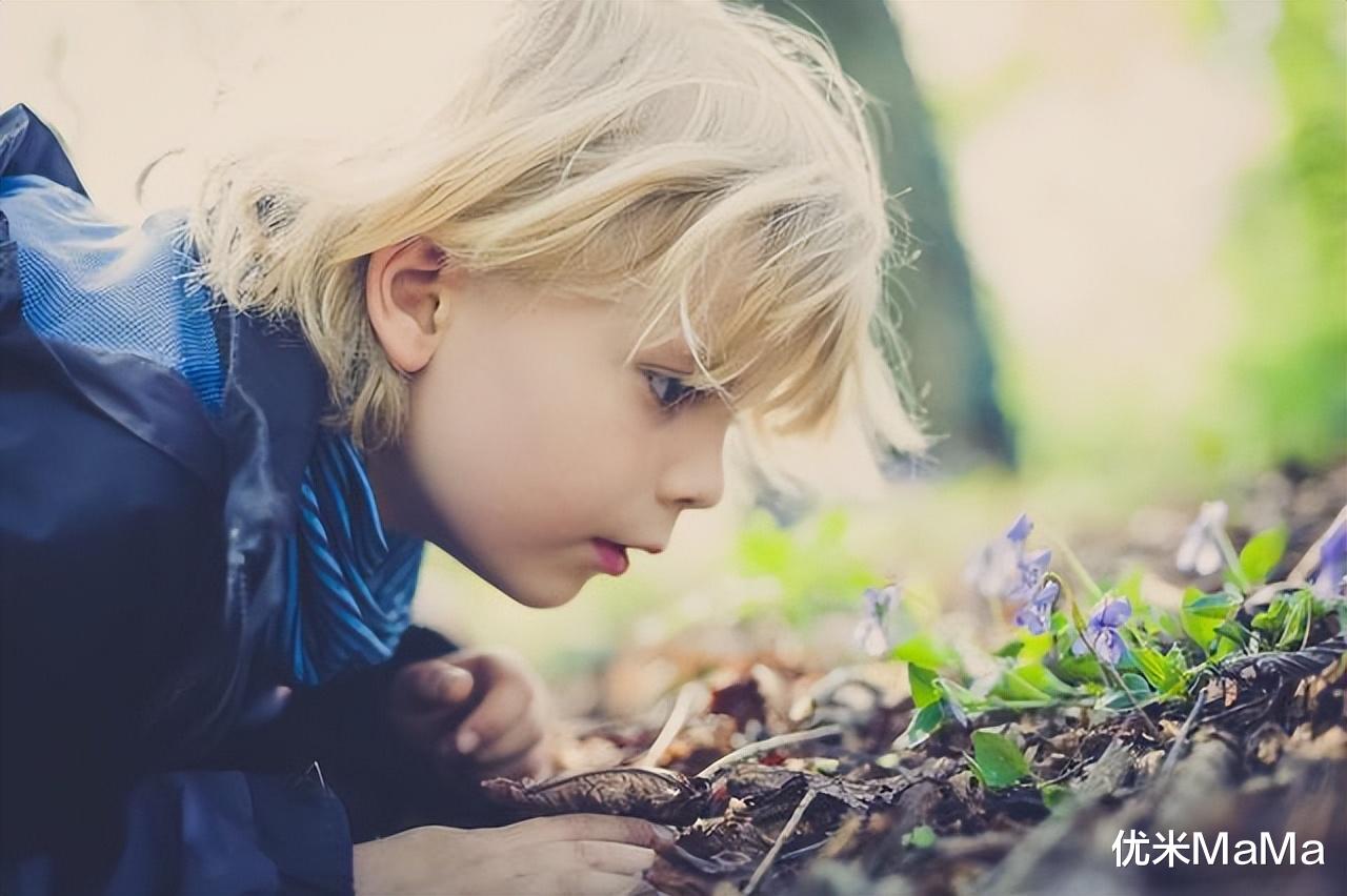 陈美玲|从当红明星跌入泥潭，送3孩子进斯坦福，归功于6岁前狠抓一个能力