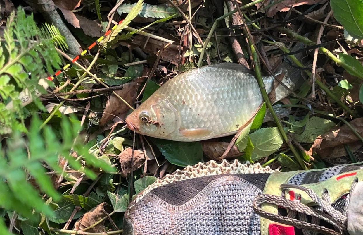 |钓鱼人的10大“老六”行为，分不清真假，容易上当