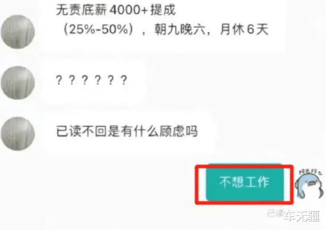 衬衫|00后大学生“野蛮应聘”火了,直来直去没有废话,HR在原地凌乱!