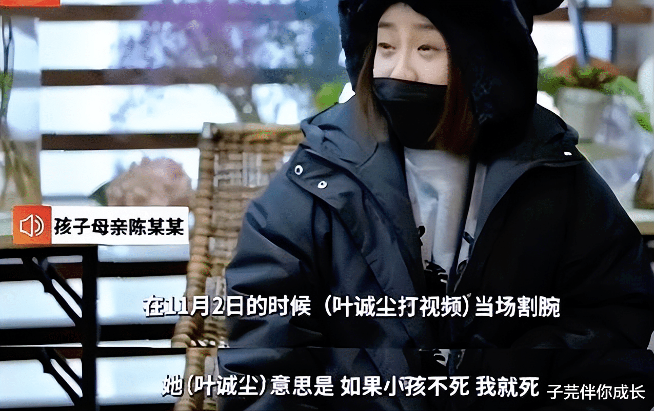 叶诚尘|“白富美”叶诚尘为何看上张波？断绝关系不辩护，母亲决绝被怒赞