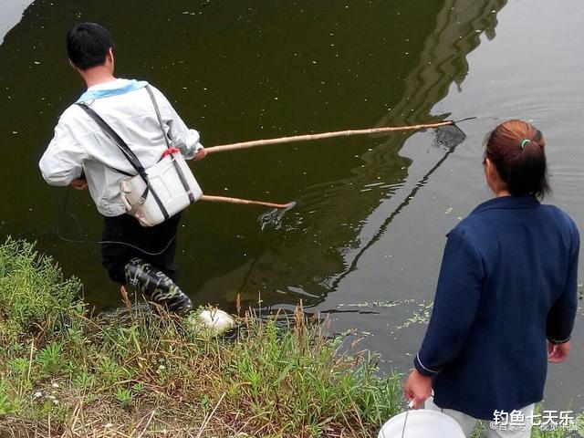 |重庆钓鱼男子长江钓到23斤大鱼,最高可判三年?网友热议