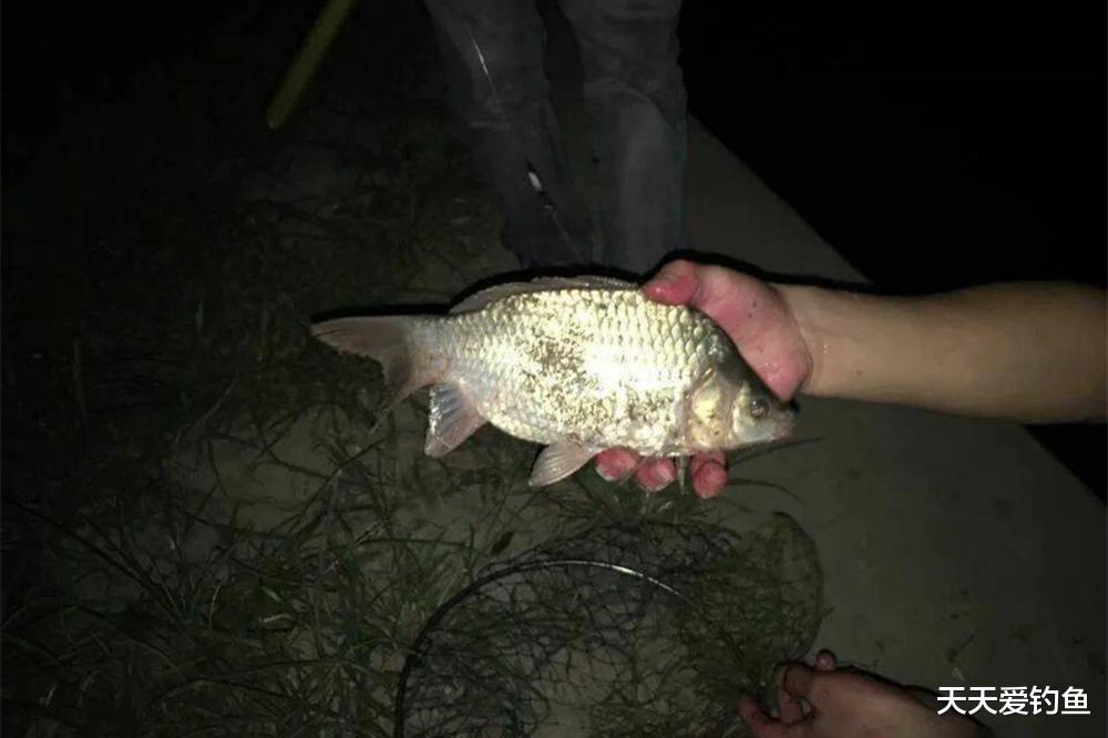 夏季钓鱼，记住6大“禁忌”，谁踩谁“空军”