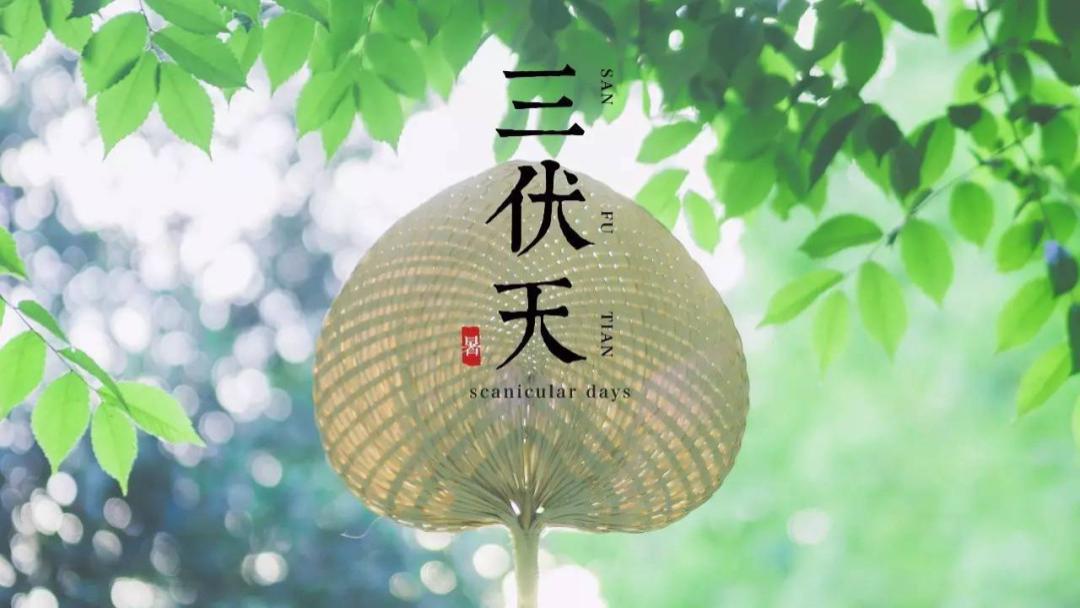 三伏天 40天黄金减脂三伏天，8个减肥小技巧让你拥有A4腰
