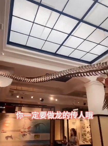 张兰再曝大S台独行径,对着恐龙教导孙子们:一定要做龙的传人