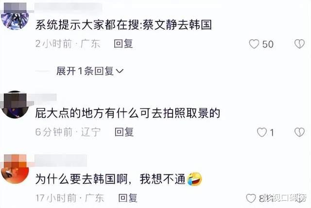 蔡文静|蔡文静韩国机场摔一跤惹争议,男友是《赘婿》制片人,财力不一般