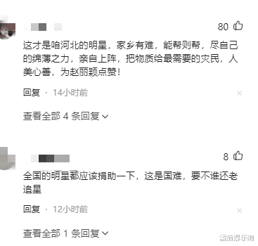 赵丽颖向涿州捐救灾物资，多得用铲车拉，彰显内娱慈善“人间清醒”